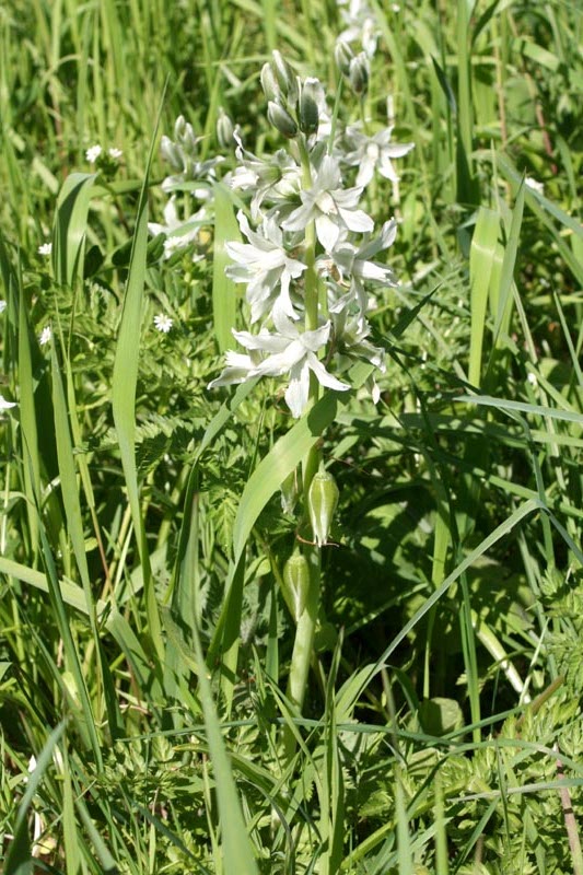 Killikus&reg; Fotographie